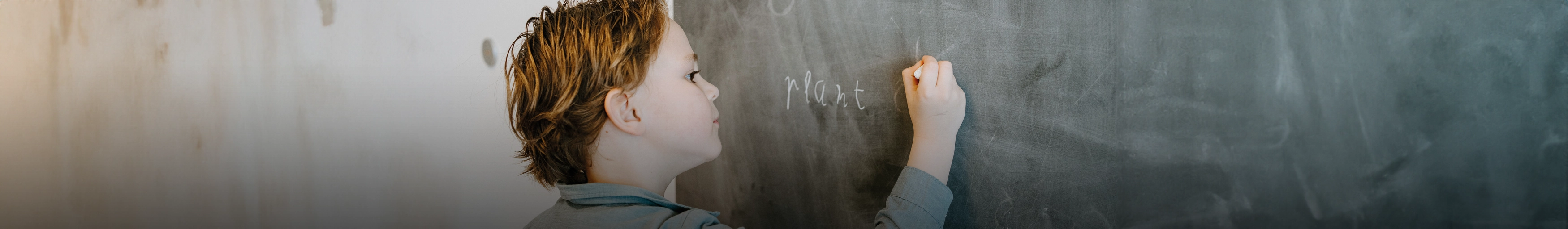 Sensorische Integratie (SI) | Kinderfysio & Ergotherapie De Vlieger